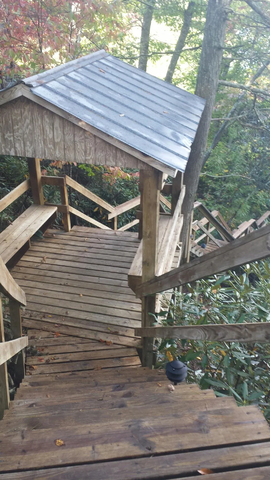 Metal roofed shelter over wooden steps on a wooded walkway — Skylight Repair & Installation work by our crew in Bridge City
